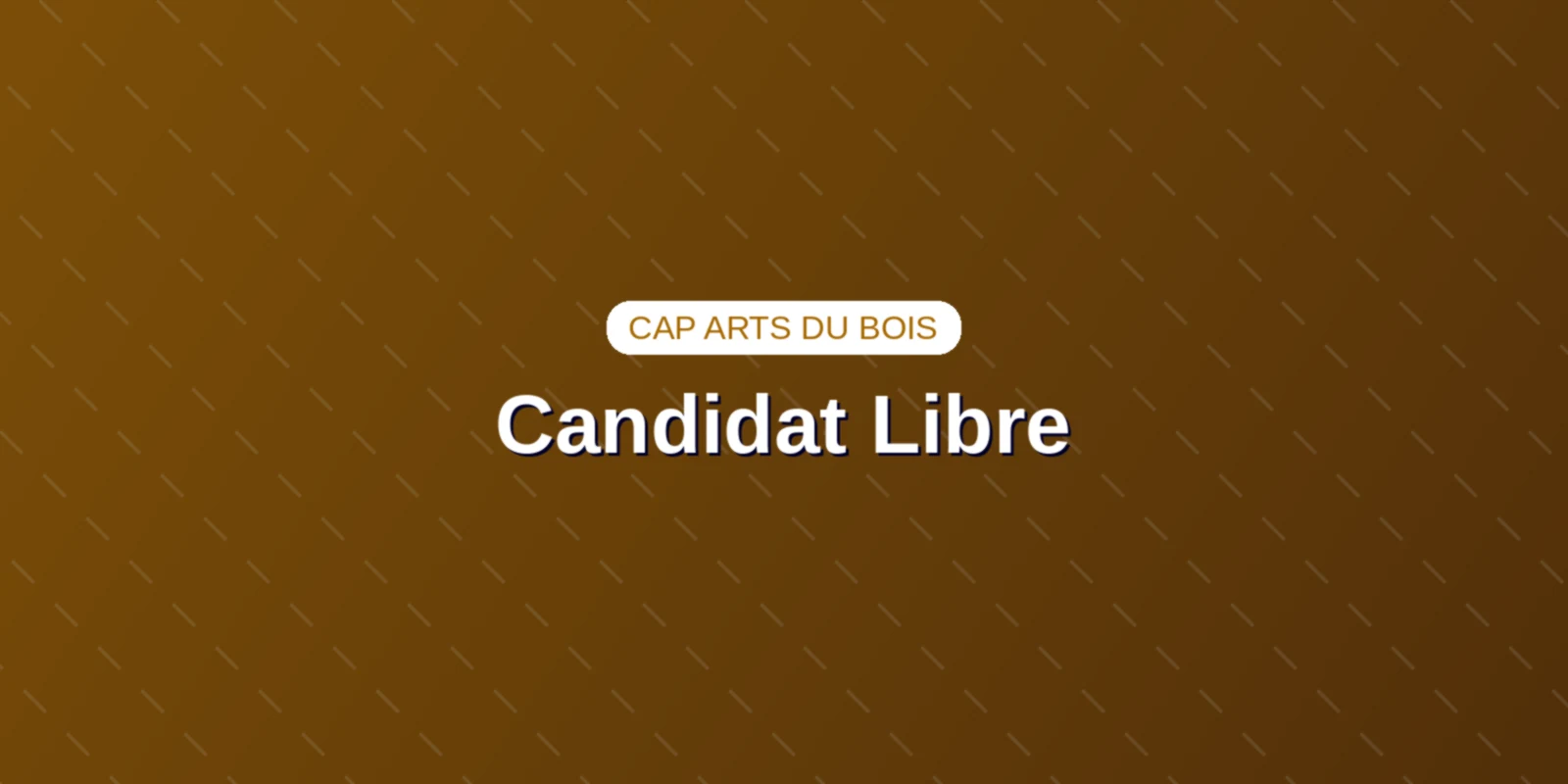 CAP Arts du bois en candidat libre : guide des épreuves Couverture : Candidat au CAP Arts du bois sculptant une moulure ornementale à la gouge d'atelier