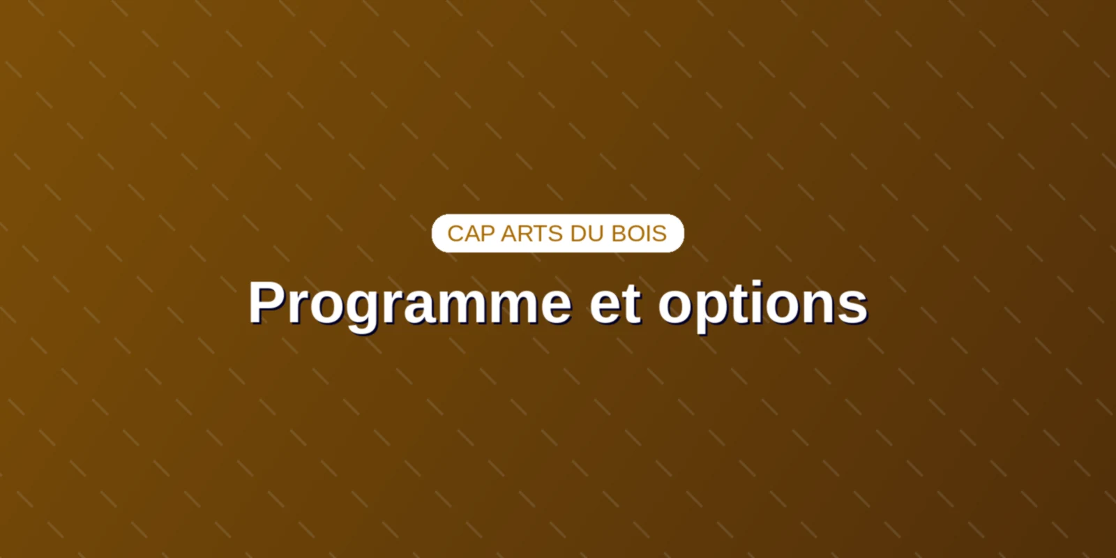 CAP Arts du bois : programme et choix des trois options